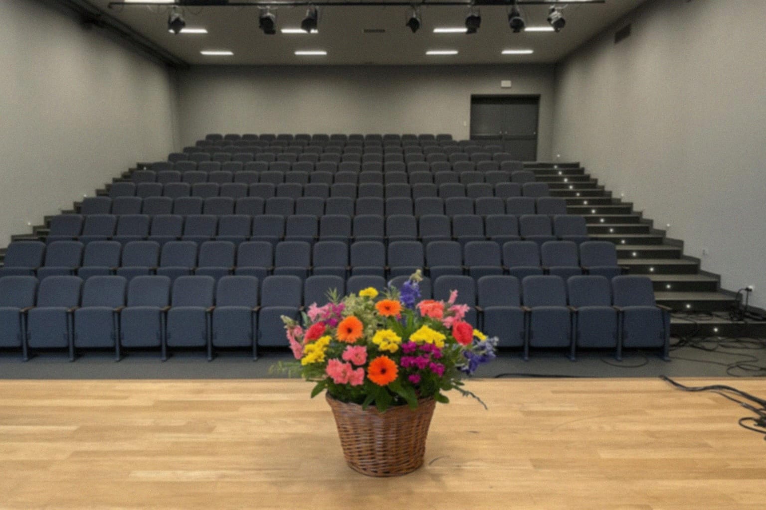 Dni Muzyki Kameralnej Świdnica 2025/2026 – Powrót do Tradycji