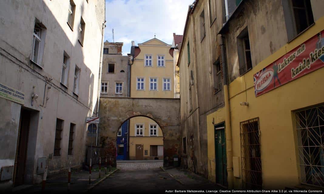 Świdnica uruchamia program dofinansowania kastracji i sterylizacji zwierząt