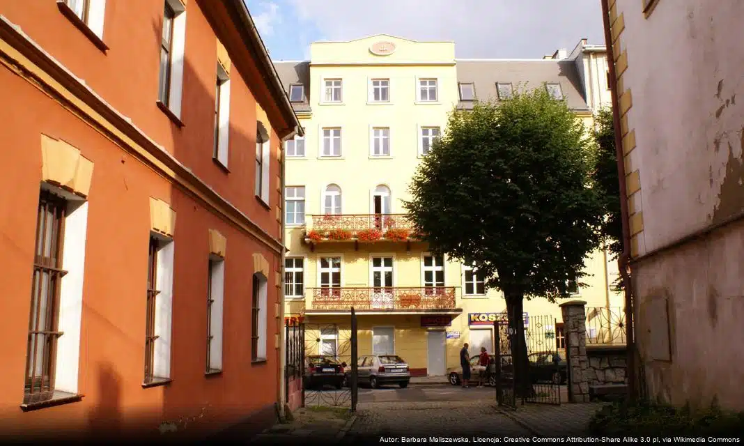 Inwentaryzacja drzew w Świdnicy zakończona – czas na prace pielęgnacyjne